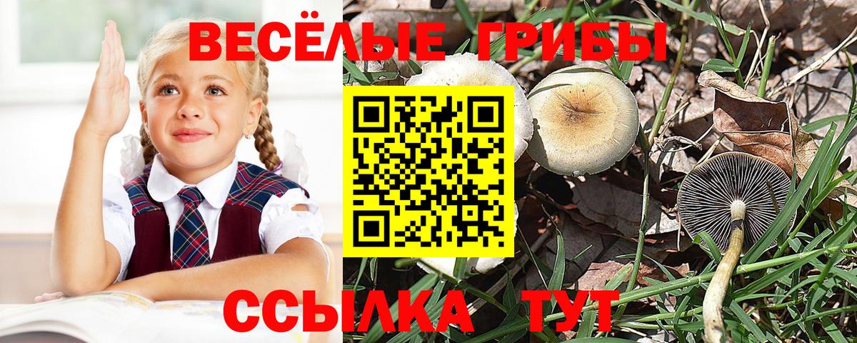 Галлюциногенные грибы Cubensis  Вход с VPN  Снежинск 